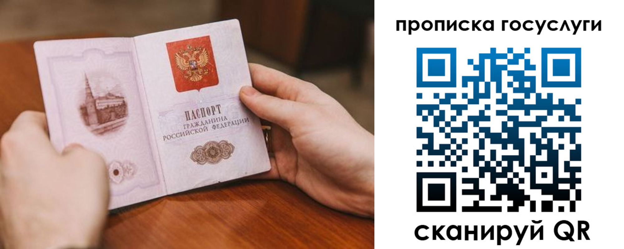 прописка ребенка в Жуковском